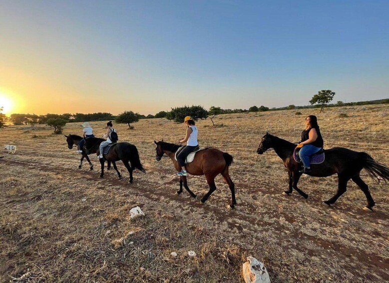 Picture 6 for Activity Matera: sunset horseback riding tour on Murgia