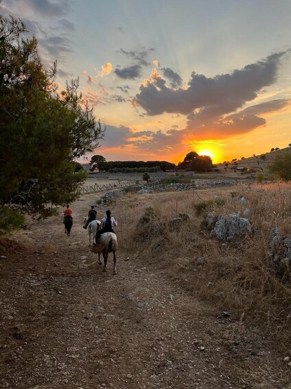 Picture 1 for Activity Matera: sunset horseback riding tour on Murgia