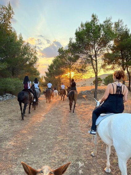 Picture 3 for Activity Matera: sunset horseback riding tour on Murgia