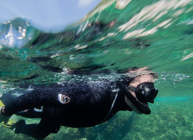 Picture 6 for Activity Nice: Speedboat Day Trip with Snorkeling in Villefranche Bay