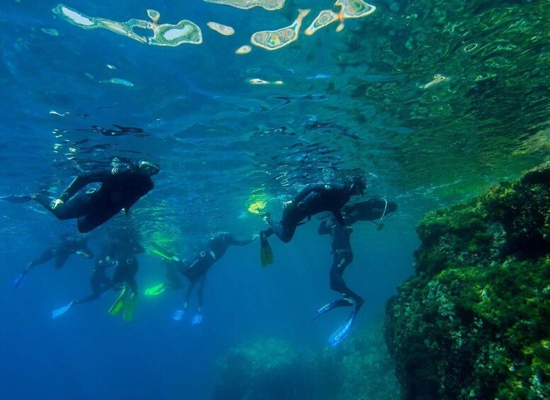 Picture 5 for Activity Nice: Speedboat Day Trip with Snorkeling in Villefranche Bay