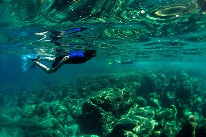 Nice: Speedboat Day Trip with Snorkelling in Villefranche Bay