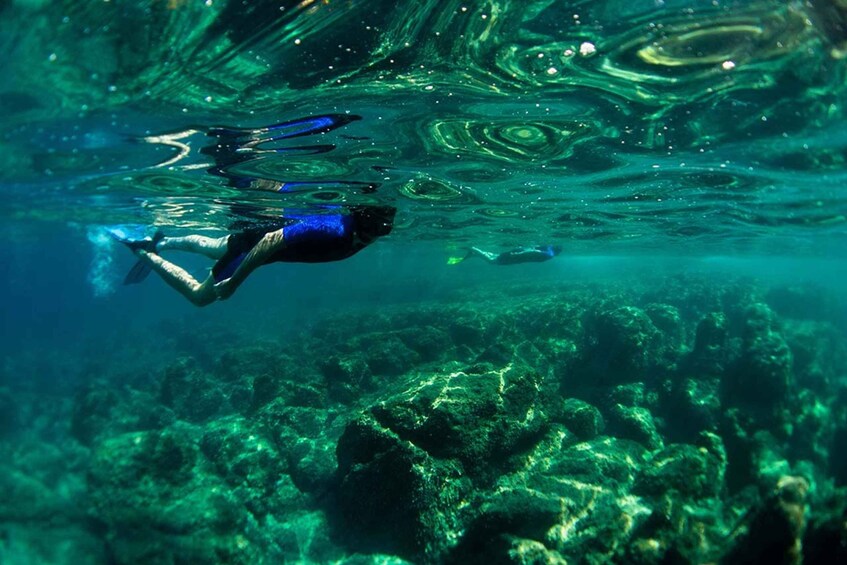 Nice: Speedboat Day Trip with Snorkeling in Villefranche Bay