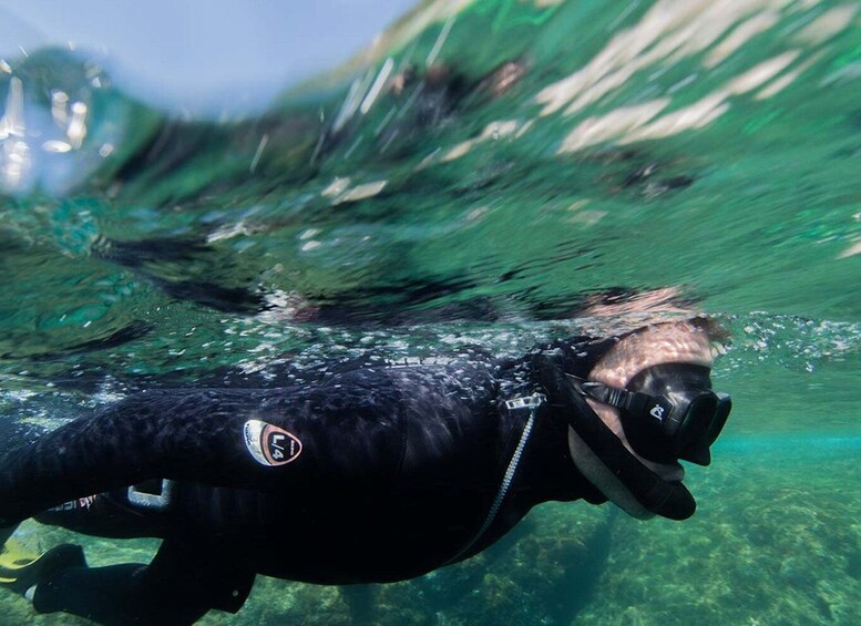 Picture 6 for Activity Nice: Speedboat Day Trip with Snorkeling in Villefranche Bay