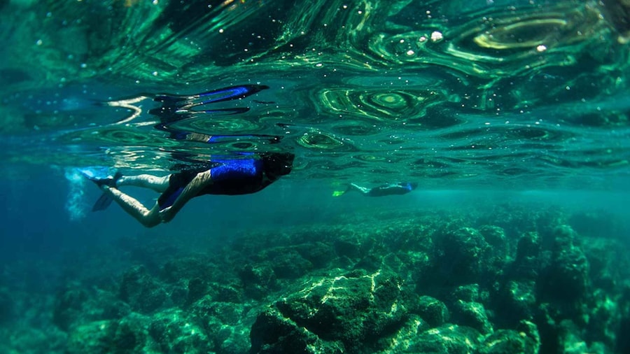Nice: Speedboat Day Trip with Snorkeling in Villefranche Bay