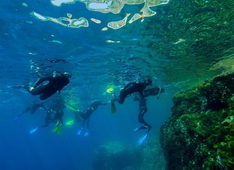 Picture 5 for Activity Nice: Speedboat Day Trip with Snorkeling in Villefranche Bay