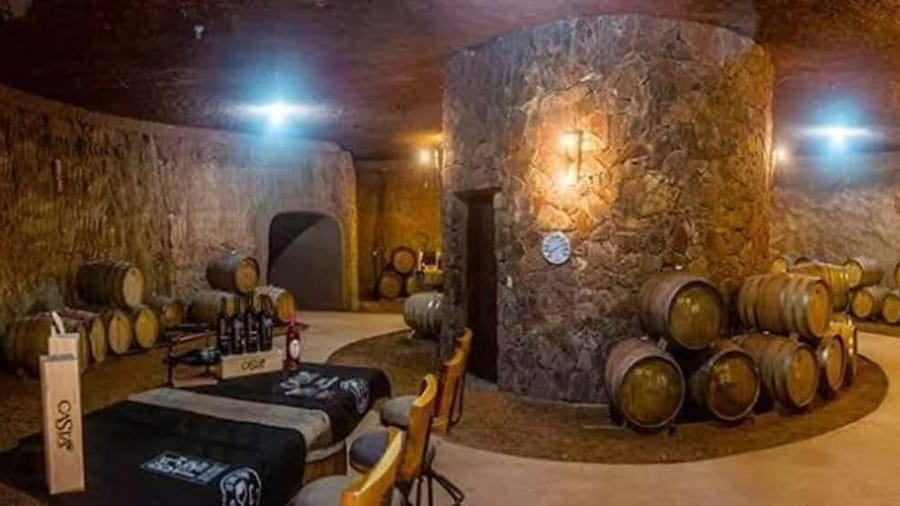 From Tijuana: Valle de Guadalupe Shared Winery Tour