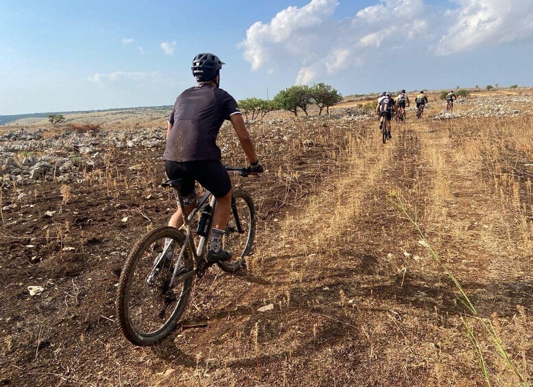 Picture 18 for Activity Puglia: Guided E-bike Tour from Coast or Countryside