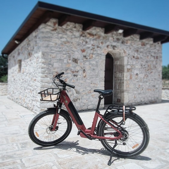 Picture 2 for Activity Bari: Rent e-Bike