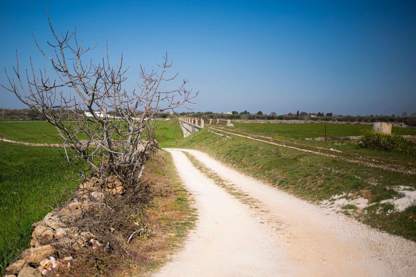 Picture 15 for Activity Puglia: Guided E-bike Tour from Coast or Countryside