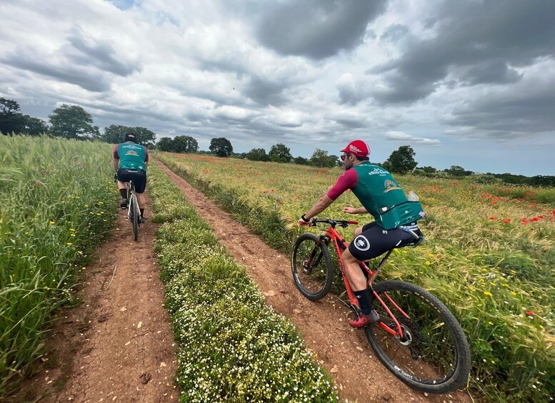 Picture 17 for Activity Puglia: Guided E-bike Tour from Coast or Countryside