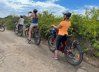 Puglia/Bari: Rent ebike in Puglia