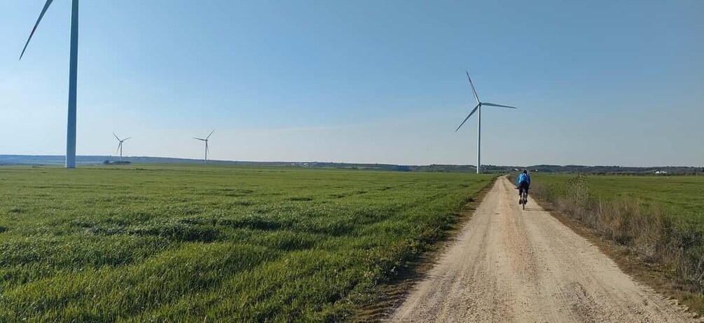 Picture 12 for Activity Puglia: Guided E-bike Tour from Coast or Countryside