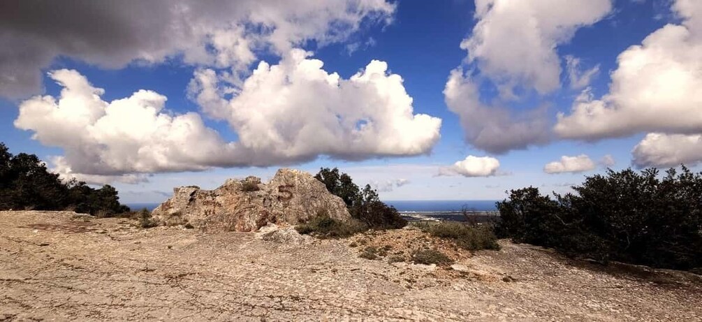 Picture 6 for Activity Puglia: Guided E-bike Tour from Coast or Countryside