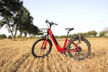 Puglia/Bari: Rent ebike in Puglia