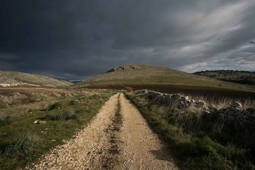 Picture 14 for Activity Puglia: Guided E-bike Tour from Coast or Countryside