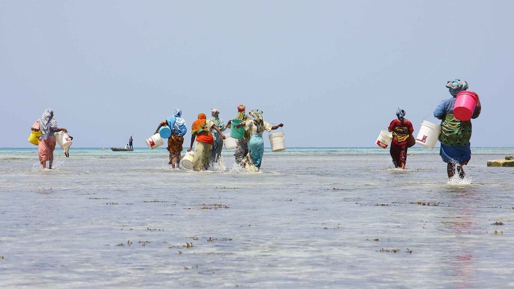 Picture 2 for Activity From Zanzibar: Nungwi Village Cultural Experience