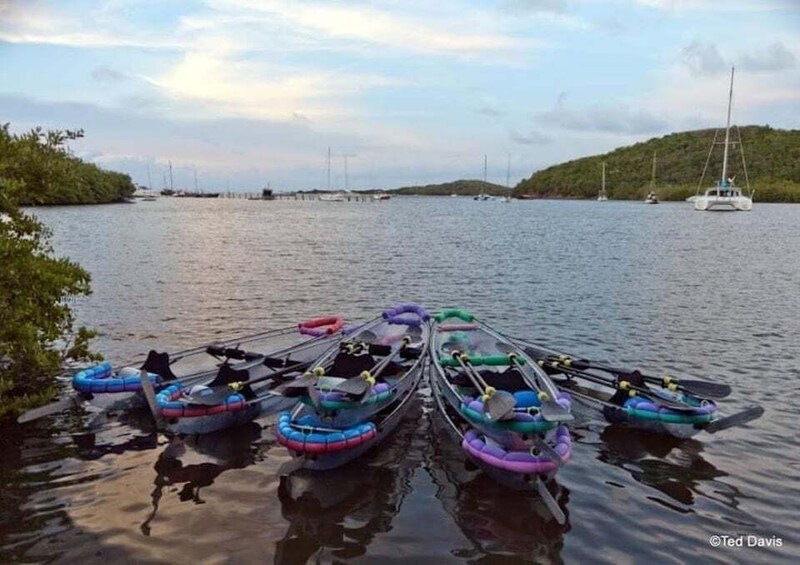Picture 4 for Activity Saint Croix: Stand Up Paddleboard Rental