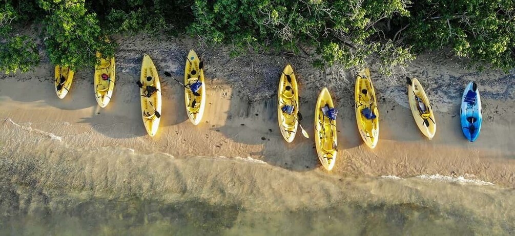 Picture 3 for Activity Saint Croix: Stand Up Paddleboard Rental