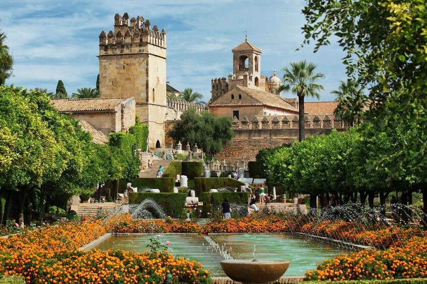 Cordoba Private Guided Walking Tour