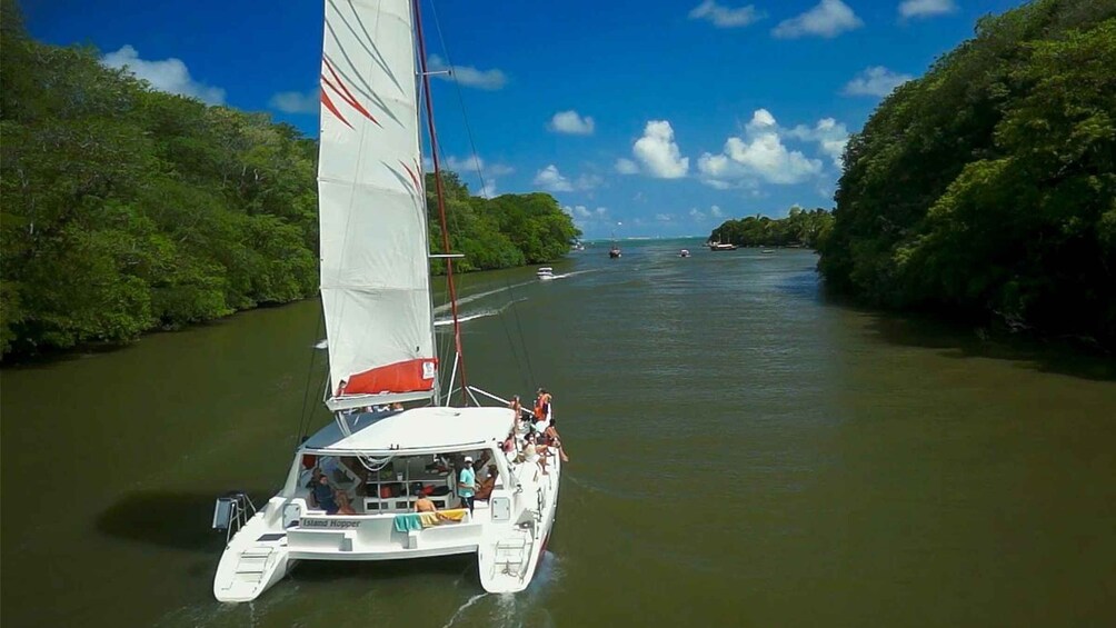 Picture 3 for Activity Catamaran cruise to Ile aux Cerfs from Pointe Jerome