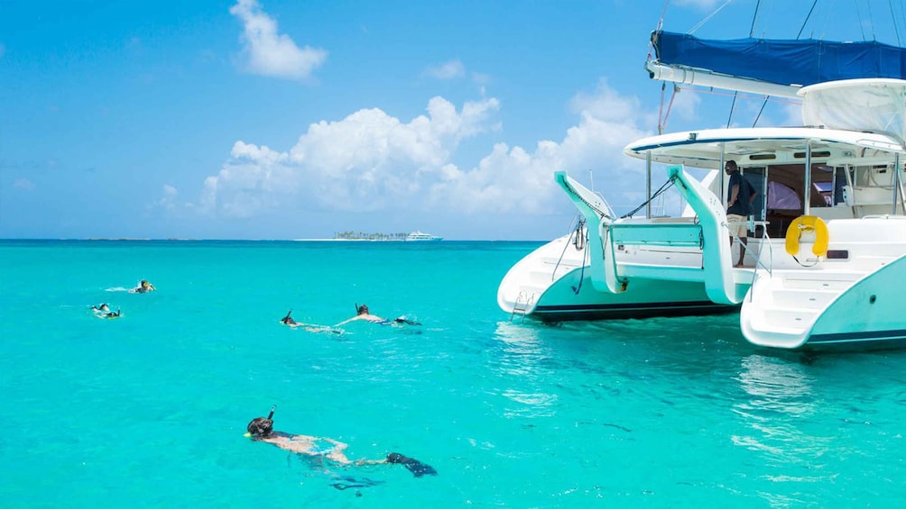 Picture 2 for Activity Catamaran cruise to Ile aux Cerfs from Pointe Jerome