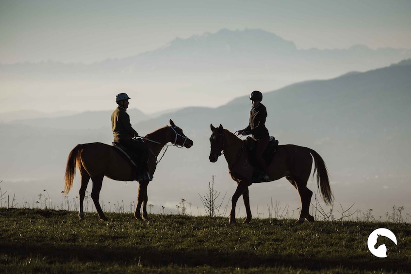 Picture 2 for Activity Lake Como: Horseback Adventure & Tasting with Amazing Views