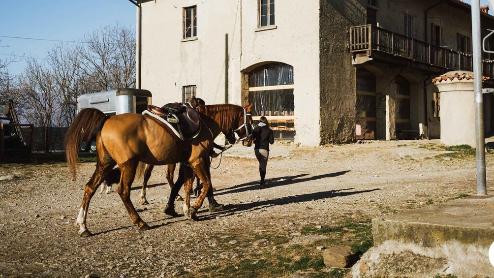 Picture 3 for Activity Lake Como: Horseback Adventure & Tasting with Amazing Views