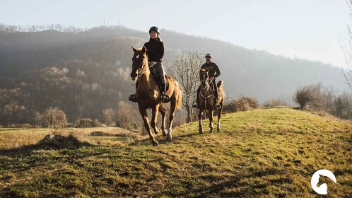 Lake Como: Horseback Adventure & Tasting with Amazing Views