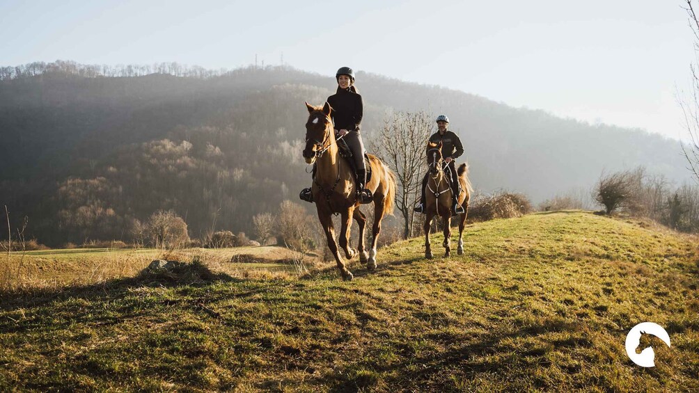 Lake Como: Horseback Adventure & Tasting with Amazing Views