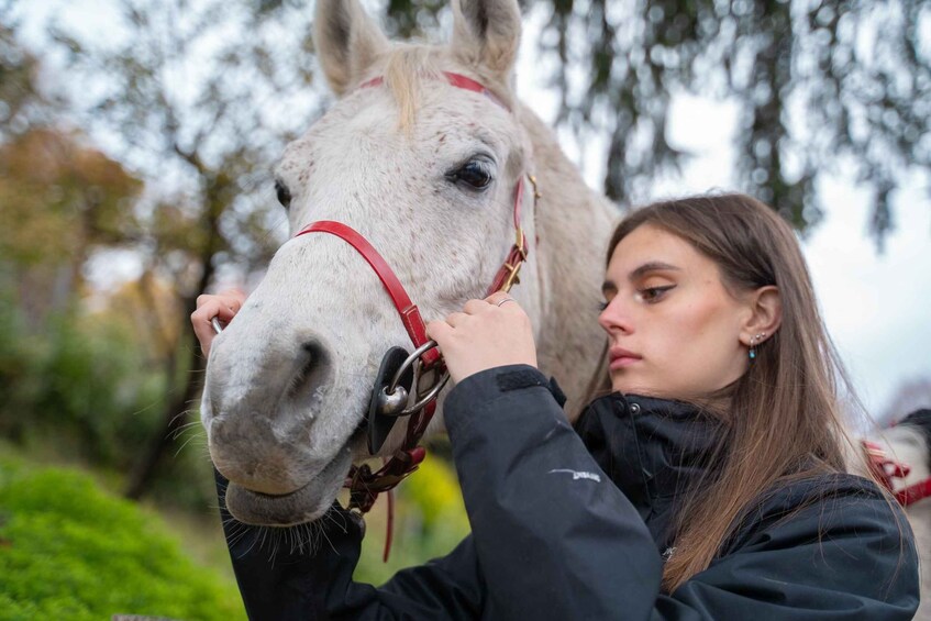 Picture 7 for Activity Lake Como: Horseback Adventure & Tasting with Amazing Views