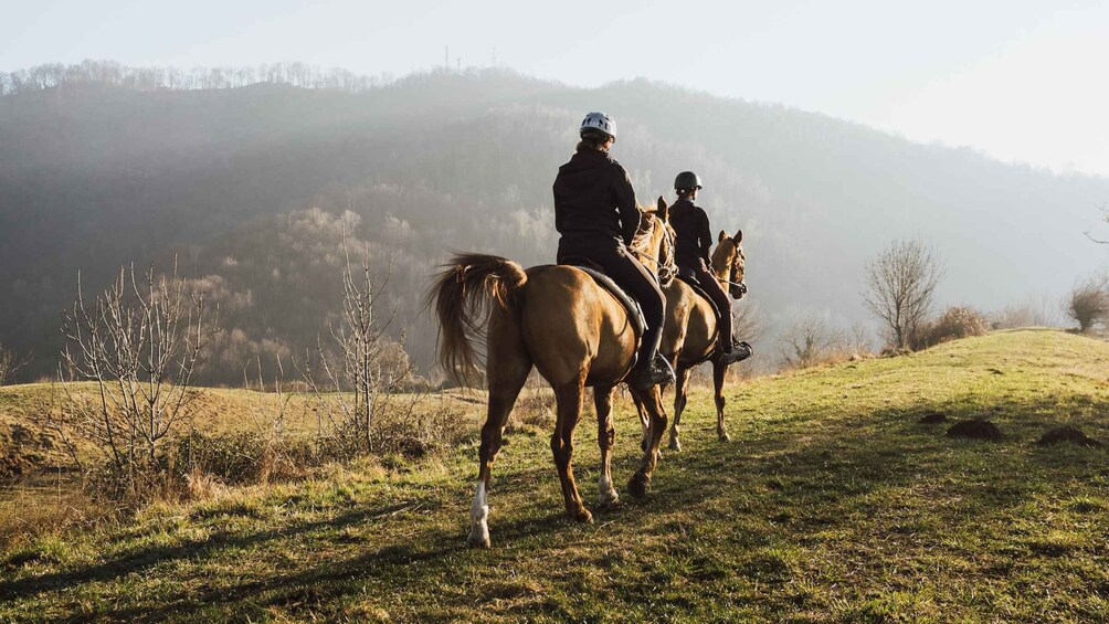 Picture 6 for Activity Lake Como: Horseback Adventure & Tasting with Amazing Views