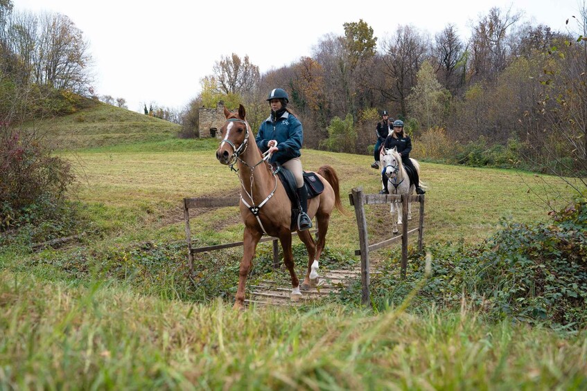 Picture 8 for Activity Lake Como: Horseback Adventure & Tasting with Amazing Views