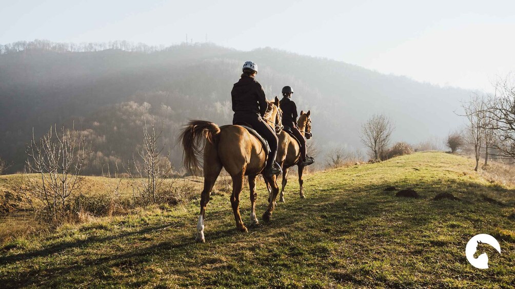 Picture 6 for Activity Lake Como: Horseback Adventure & Tasting with Amazing Views