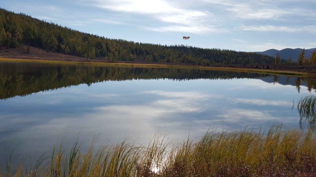 Picture 15 for Activity Horse trekking tour in Orkhon valley , 8 lake area