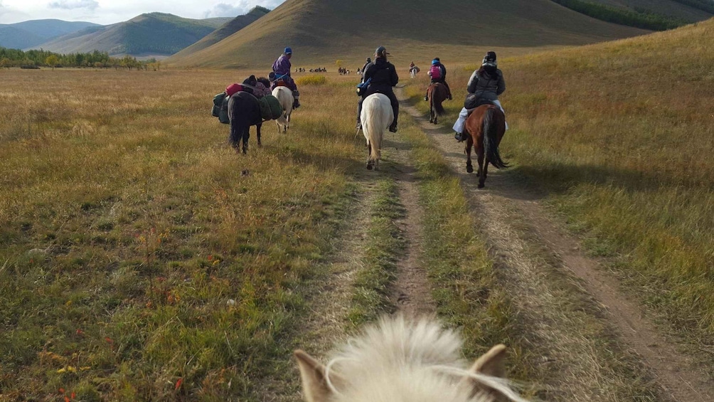 Picture 13 for Activity Horse trekking tour in Orkhon valley , 8 lake area