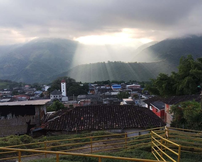 Coffee region Colombia: Authentic coffee experiences