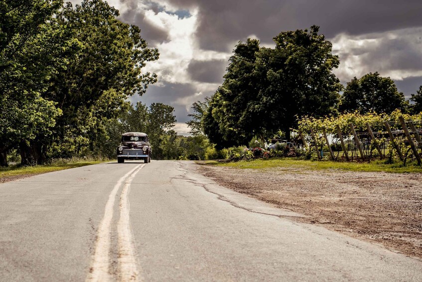 Picture 6 for Activity From Wolfville: Nova Scotia Wine Region Vintage Car Tour