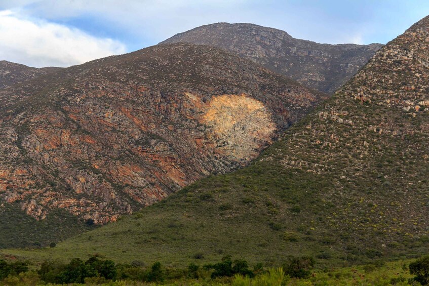 Picture 3 for Activity Hankey: Baviaanskloof Full-Day Guided Safari Trip with Lunch