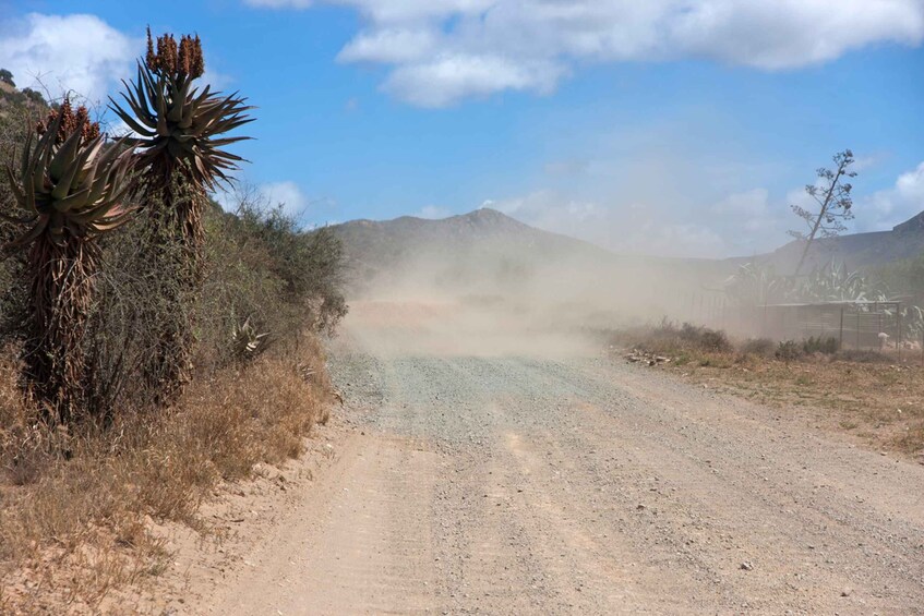 Picture 1 for Activity Hankey: Baviaanskloof Full-Day Guided Safari Trip with Lunch