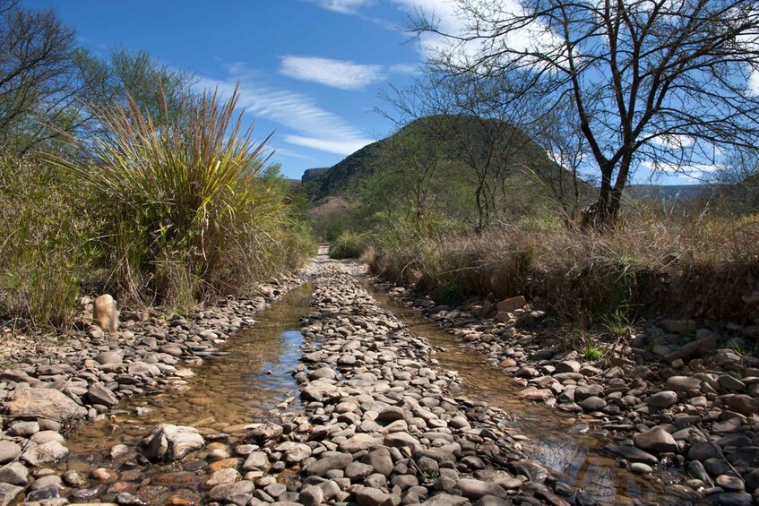 Picture 4 for Activity Hankey: Baviaanskloof Full-Day Guided Safari Trip with Lunch