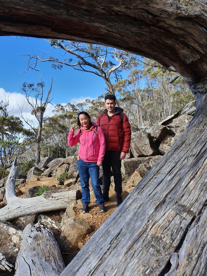 Picture 12 for Activity From Hobart: Mt Wellington Morning Walking Tour