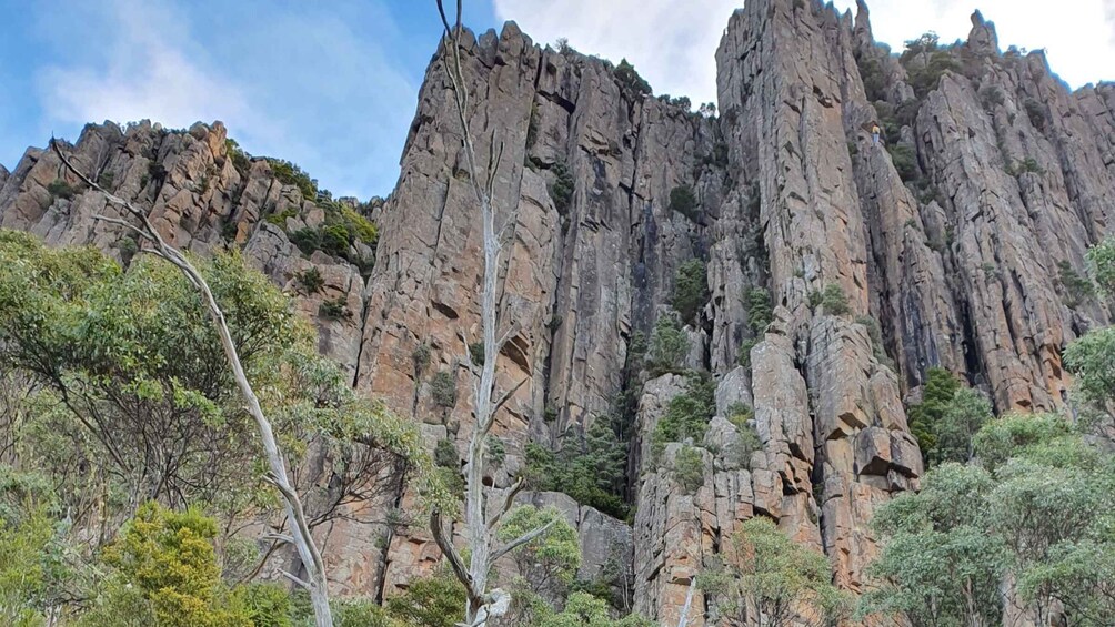 Picture 1 for Activity From Hobart: Mt Wellington Morning Walking Tour