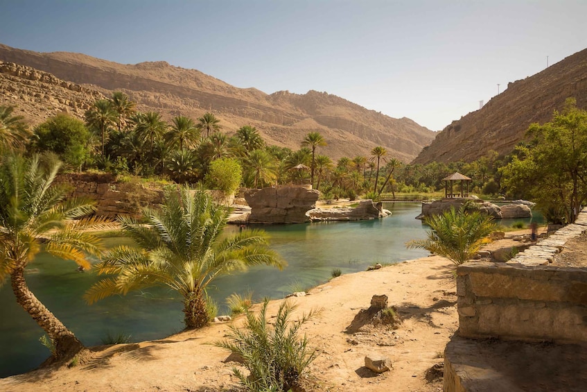 Picture 2 for Activity Muscat: Wahiba Desert and Wadi Bani Khalid Guided Group Tour