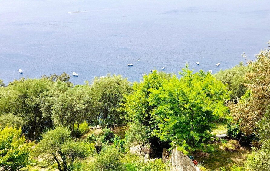 Picture 4 for Activity From Santa Margherita: Ebike Tour along the Italian Riviera