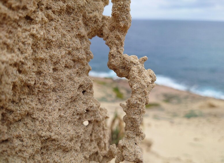 Picture 9 for Activity Porto Santo: Island Highlights 4x4 Tour with Hotel Transfers