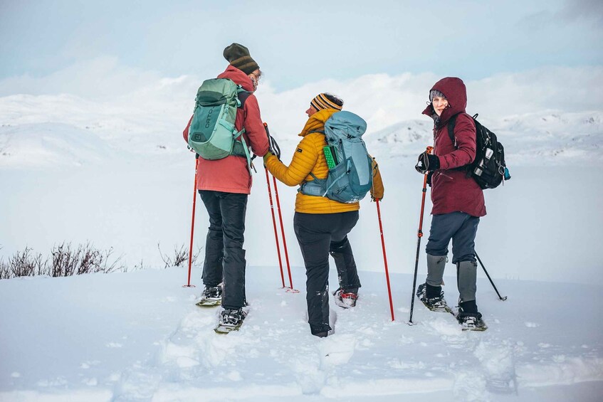 Picture 8 for Activity Explore Jotunheimen - 2 Days with Snowshoeing and Snowcoach