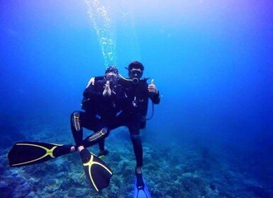 Nha Trang: Scuba Diving Experience for Non-Certified Divers