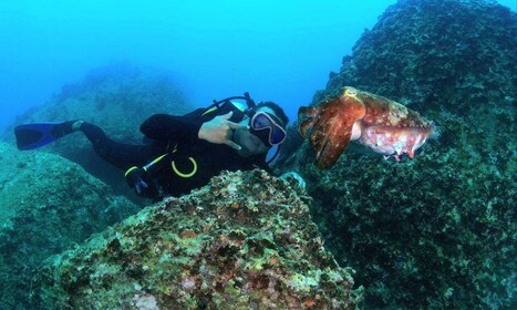 Nha Trang: Scuba Diving Experience for Non-Certified Divers