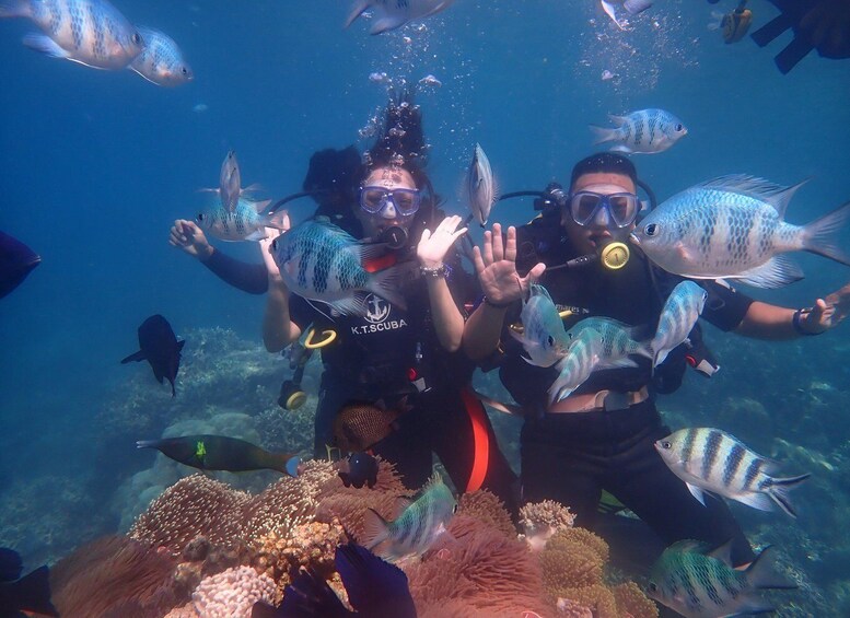 Picture 9 for Activity Nha Trang: Scuba Diving Experience for Non-Certified Divers